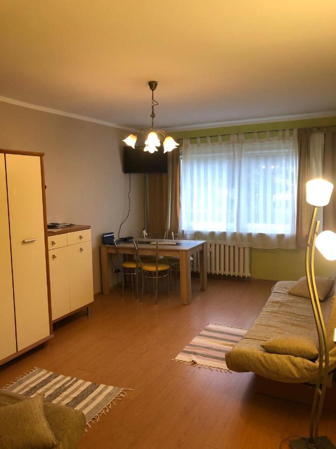 Apartament Gosia Διαμέρισμα Rogowo  Εξωτερικό φωτογραφία